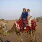 Bashar, the camel