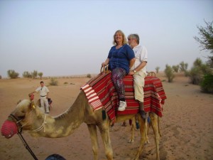 Bashar, the camel