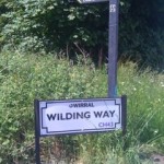 Road Sign - Wilding Way