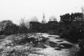Bidston Hill Today