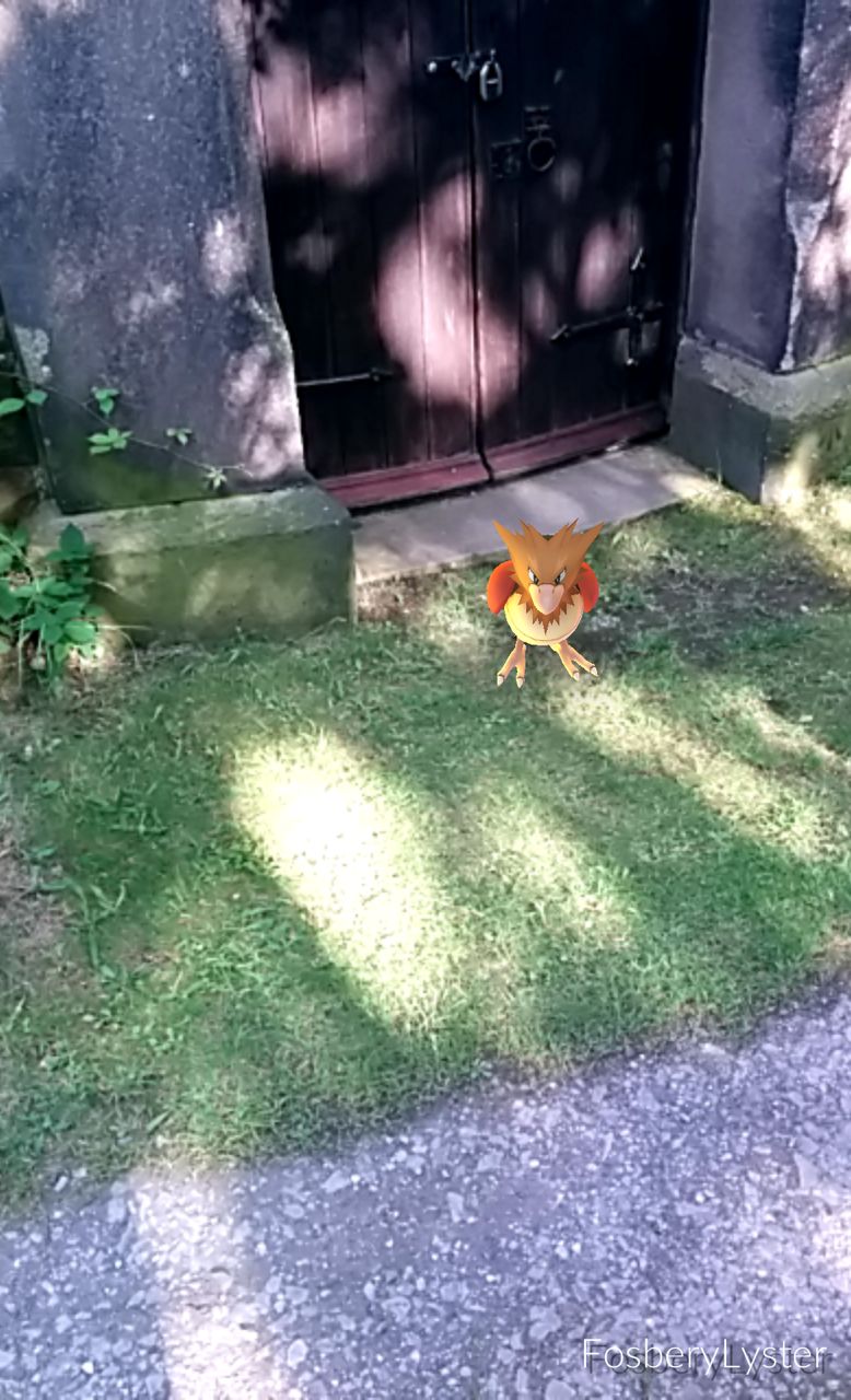 Spearow captured at Bidston Lighthouse