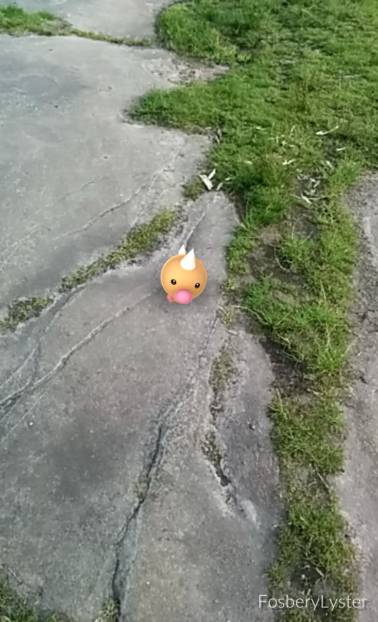 Weedle on Bidston Hill (yawn)
