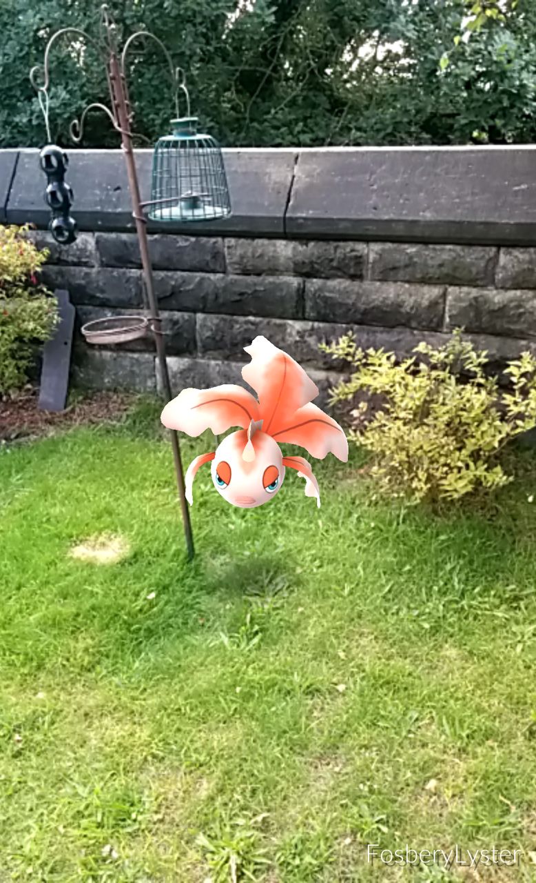Goldeen captured at Bidston Lighthouse
