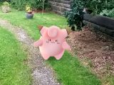 Clefairy captured at Bidston Lighthouse