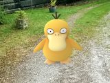 Psyduck captured at Bidston Lighthouse