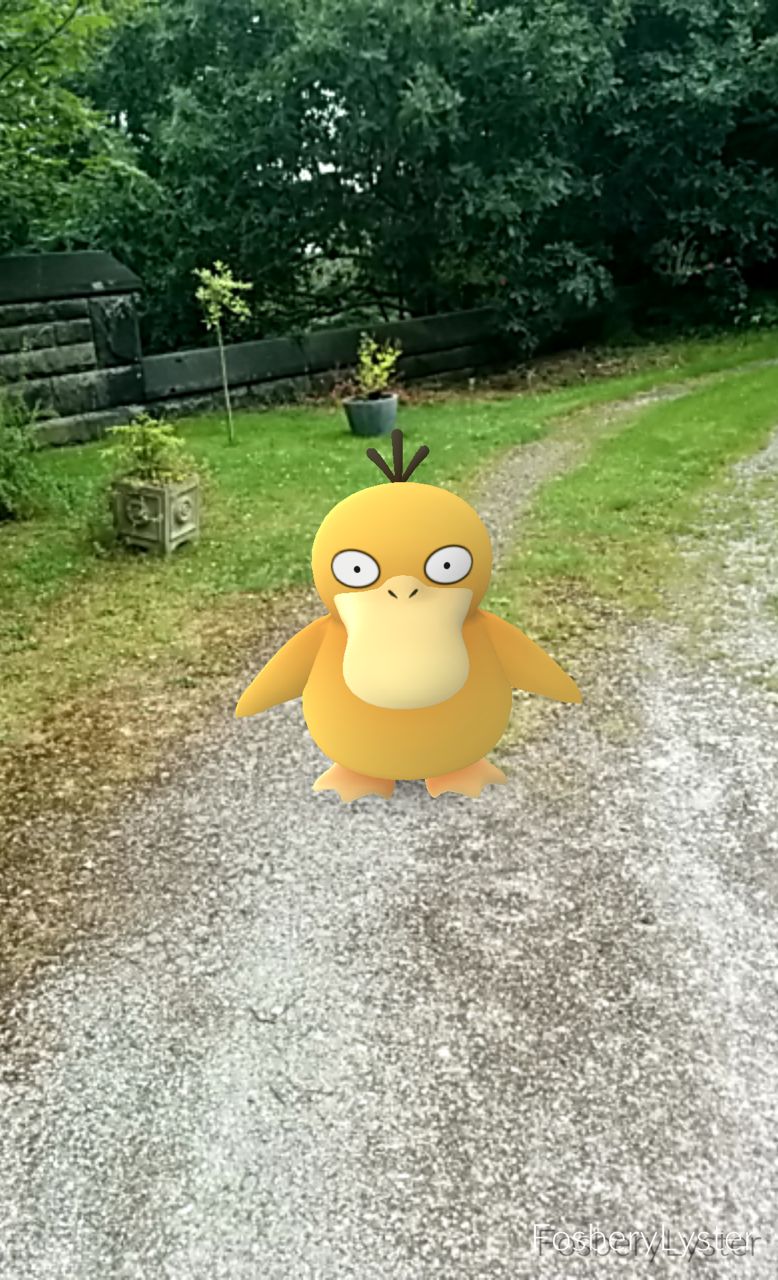Psyduck captured at Bidston Lighthouse